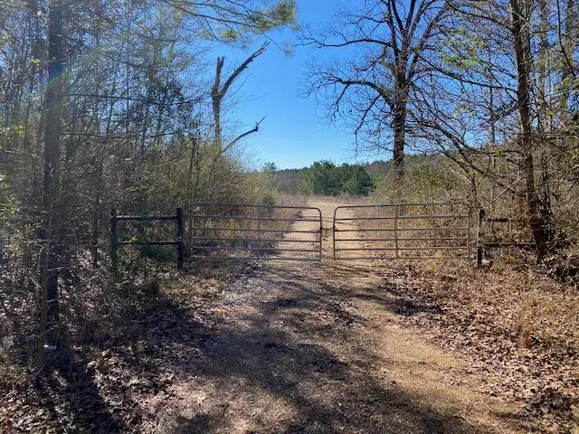 141 Katie Trail, Brookhaven, MS 39601