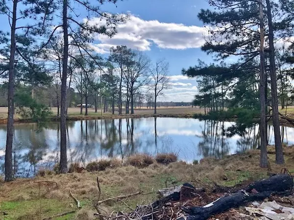 Smithdale, MS 39664,0 Bogue Chitto Road