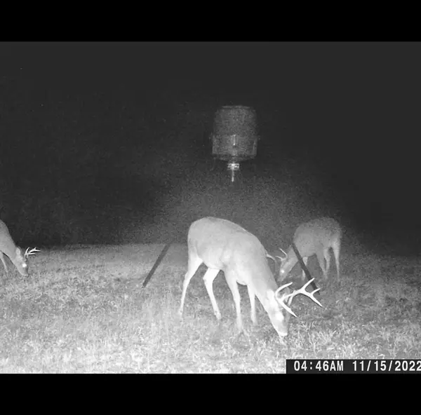 Kokomo, MS 39643,326 Knoxo Columbia Road