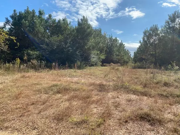 Kokomo, MS 39643,326 Knoxo Columbia Road