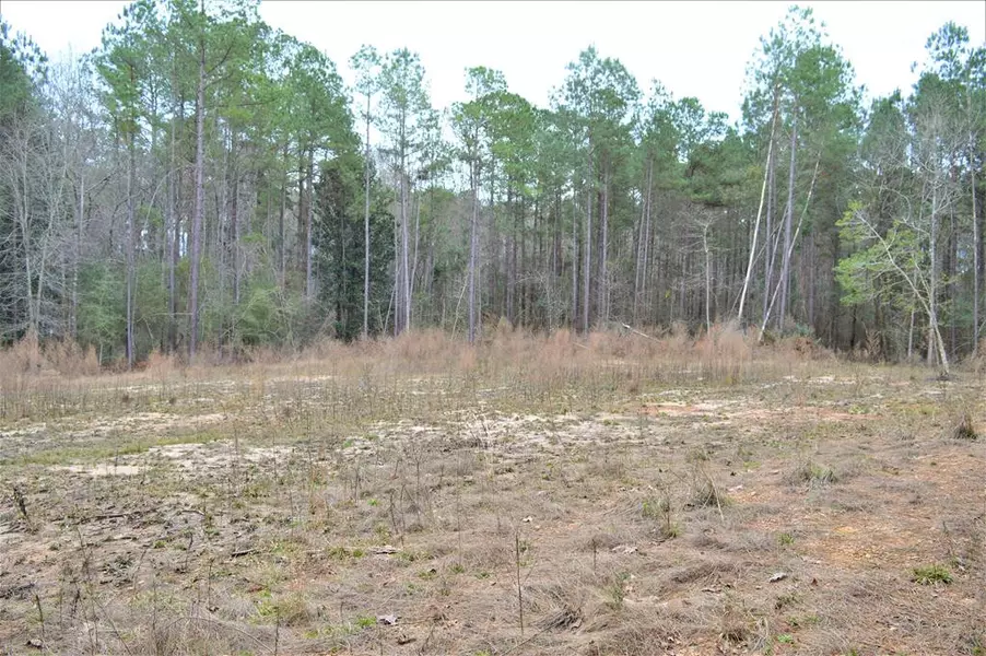 2297 Fox Rd Se, Bogue Chitto, MS 39629