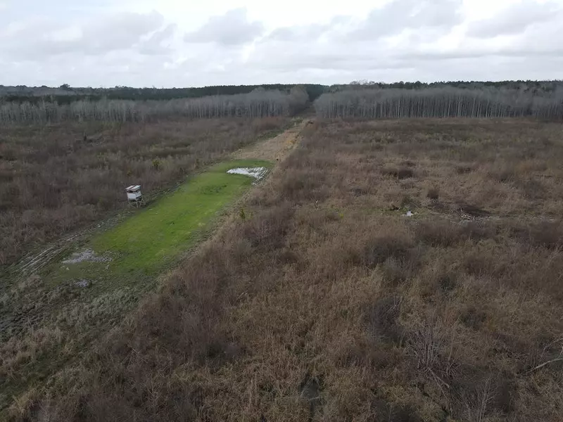 371 Campbell Creek Road, Mendenhall, MS 39114