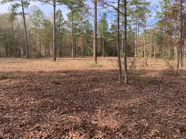 6 Old Hwy 33, Centreville, MS 39631