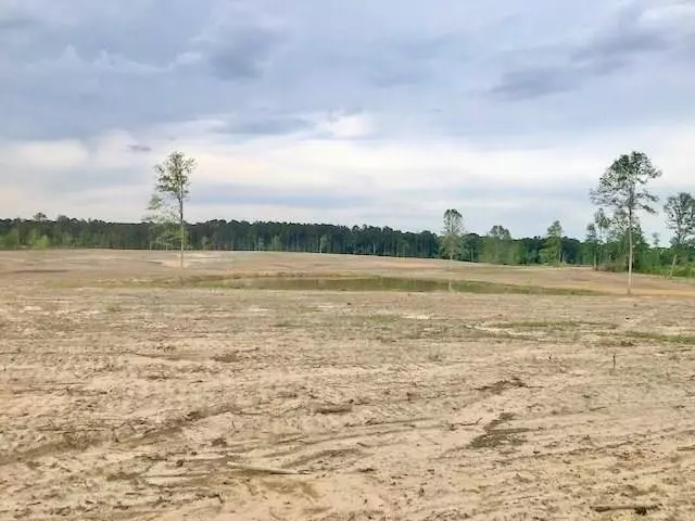 0 Paul Honea Road, Magnolia, MS 39645