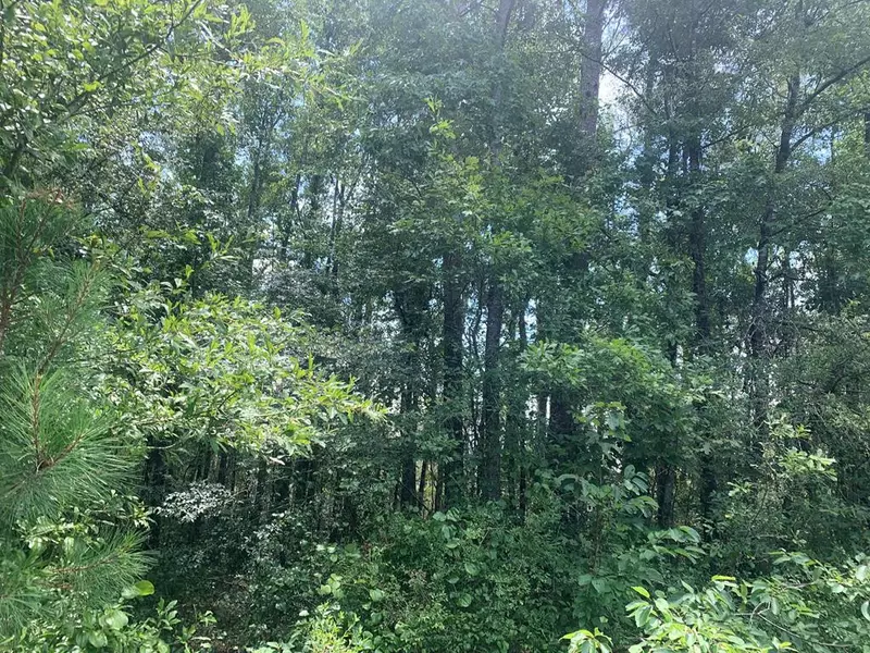 5043 Sugar Farm Road, Hazlehurst, MS 39083