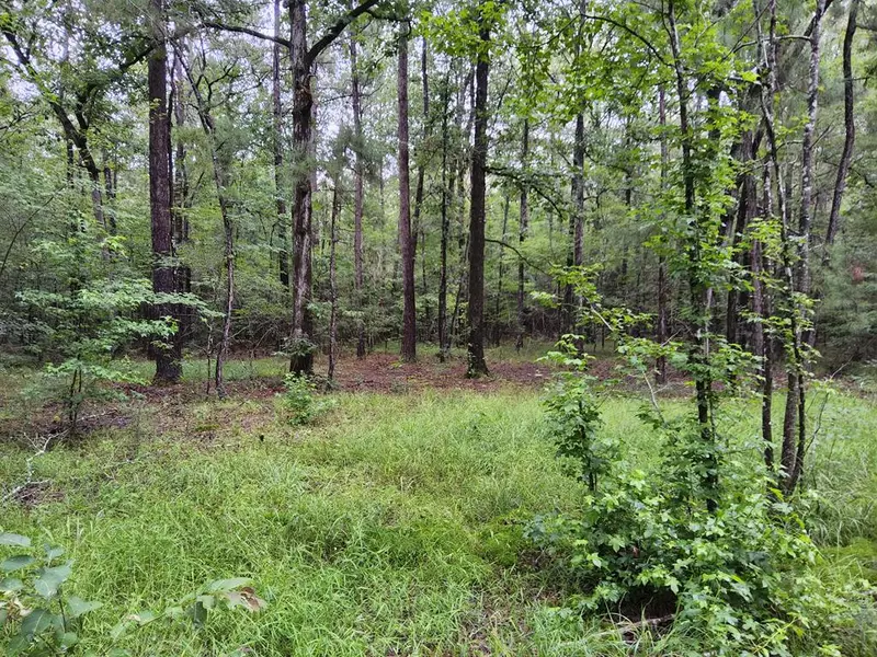 0 Ms-43, Oak Vale, MS 39656