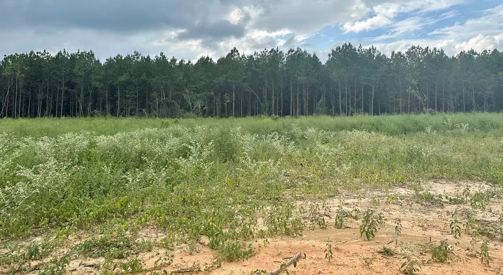 2009 Cowboy Trail, Bogue Chitto, MS 39629