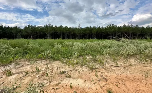 2012 Maverick Ln Sw, Bogue Chitto, MS 39629