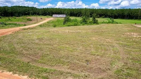 Bogue Chitto, MS 39629,2006 Maverick Ln Sw