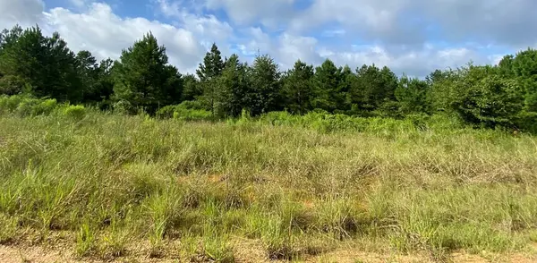 Bogue Chitto, MS 39629,3 Spencer Trail