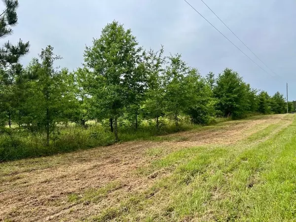 Bogue Chitto, MS 39629,1 Spencer Trail