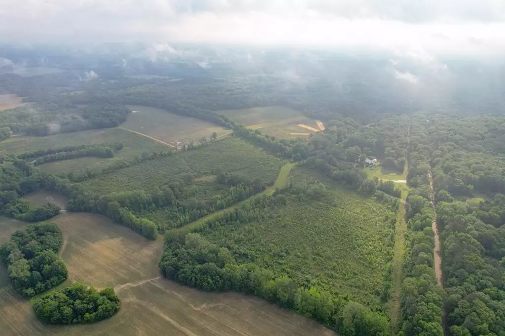 MS 39086,1017 Insemore Road