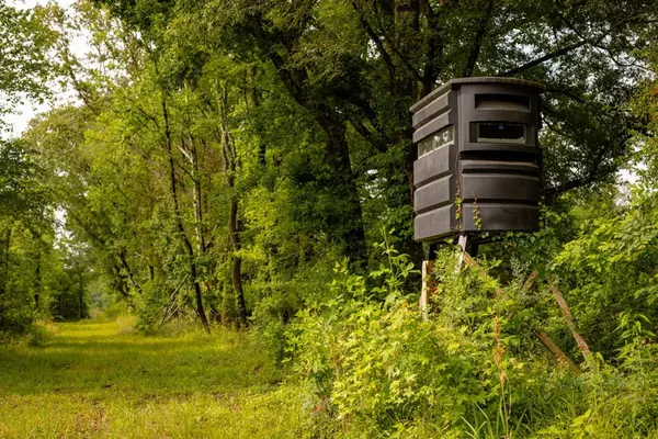 MS 39086,1017 Insemore Road