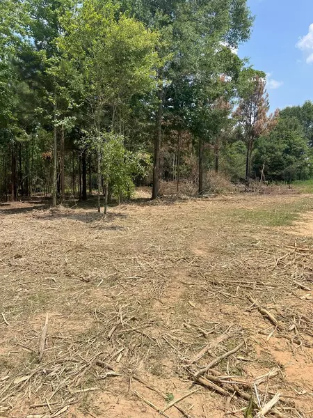 0 Daughdrill Tr, Bogue Chitto, MS 39629