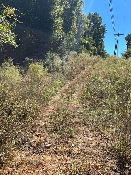 Tbd Hwy 37, Greensburg, LA 70441