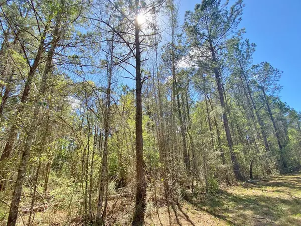 Summit, MS 39666,Enterprise Road