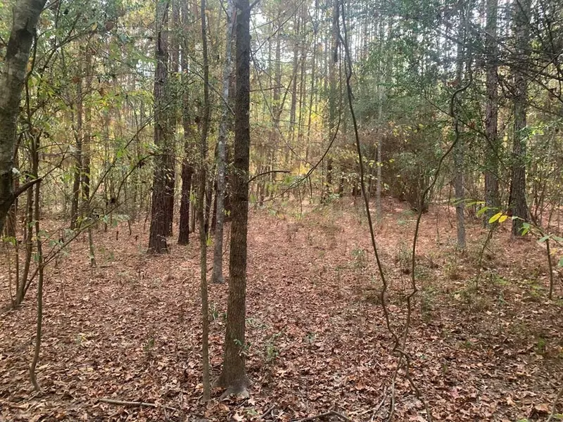 Dalton Ln Sw, Smithdale, MS 39664