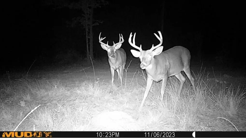 Mcmillan Road, Osyka, MS 39657