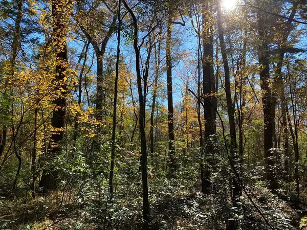 Greensburg, LA 70441,La Hwy 10