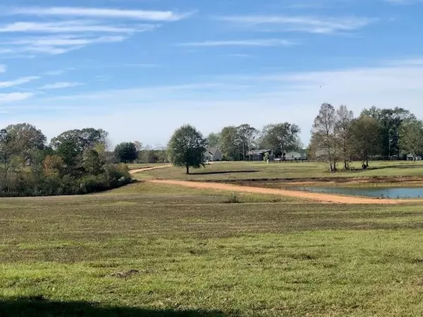 Franklinton, LA 70438,0 Hwy 10