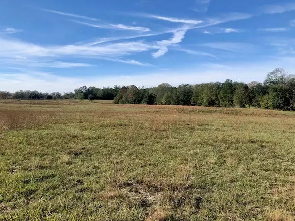 Franklinton, LA 70438,Sylve Street