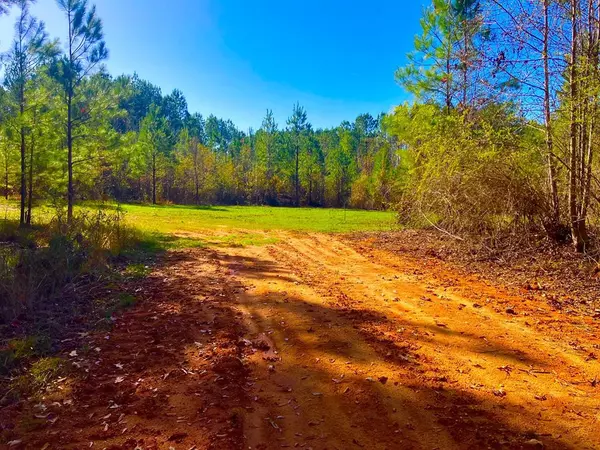 64 Stoneybrook Trail, Bogue Chitto, MS 39629