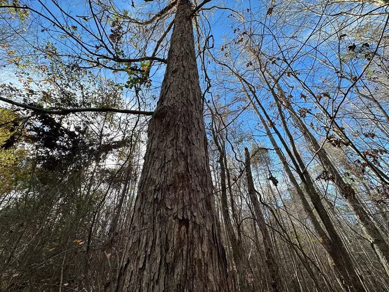 2 Norman Road, Hazlehurst, MS 39083