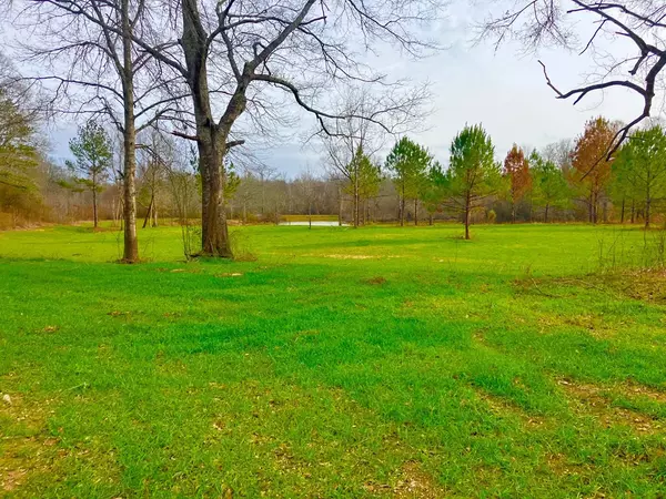 Crystal Springs, MS 39066,1001 Mullins Lane