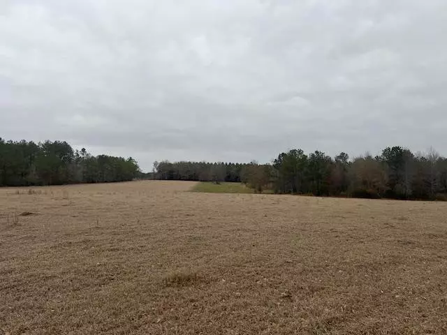 0 Raiford Trail Se, Ruth, MS 39662