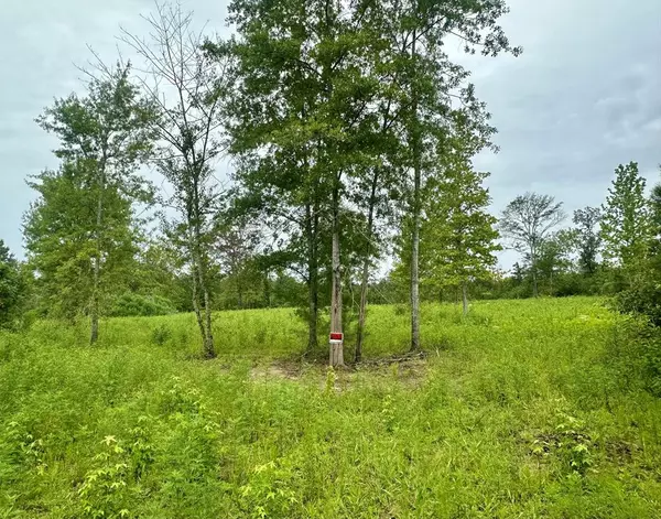 Wesson, MS 39191,Bahalia Rd Ne