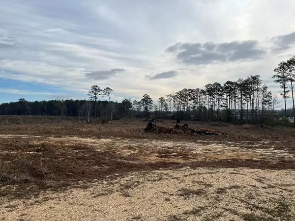 Mccomb, MS 39648,4149 Hwy 24 Highway