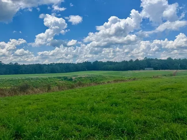 Mccall Creek, MS 39647,0 Bill Lofton Road