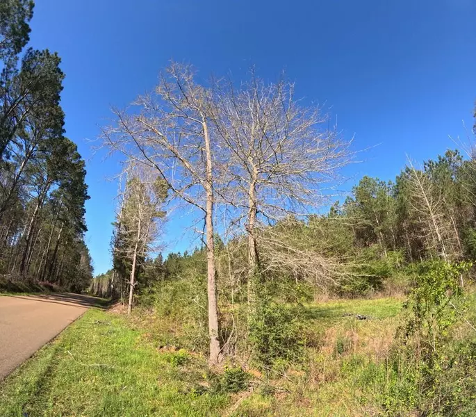 Pleasant Hill Drive Se, Bogue Chitto, MS 39629