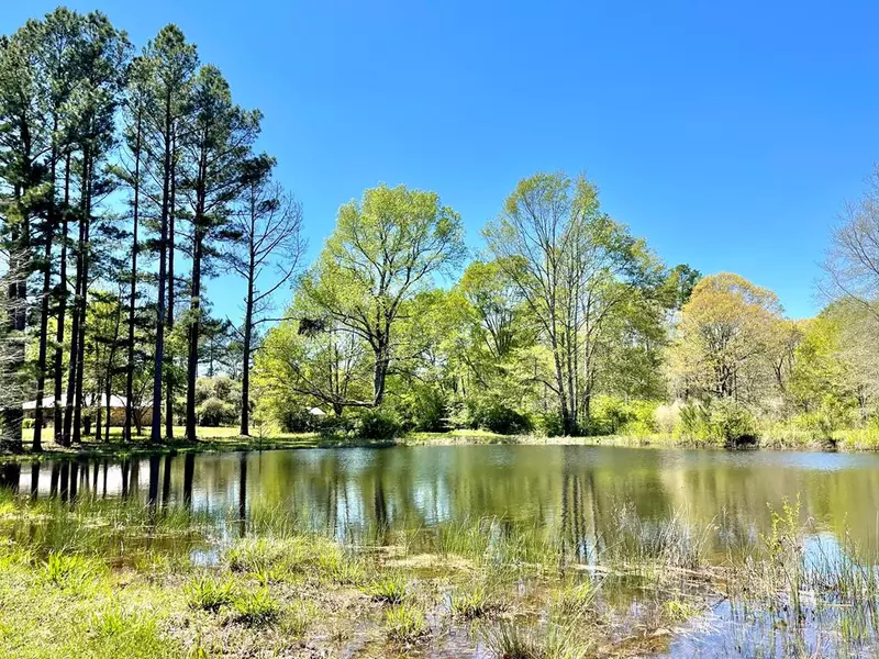 2462 Herrington Lane, Ruth, MS 39662