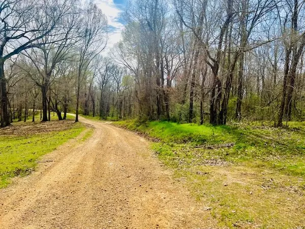 Woodville, MS 39669,82 Carter Lane