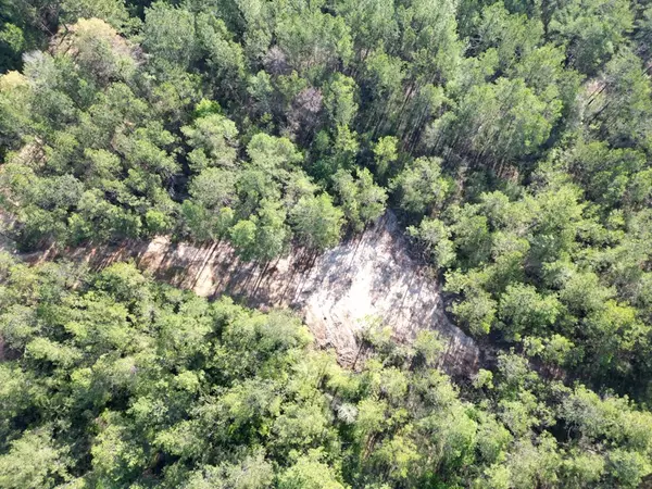 Liberty, MS 39645,3499 Jerusalem Road