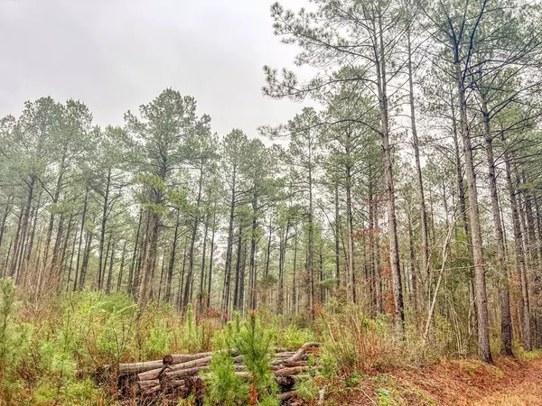 Mount Olive, MS 39119,0 Lucas Hollow Road