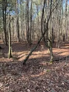 Mccall Creek, MS 39664,0 Veto Road