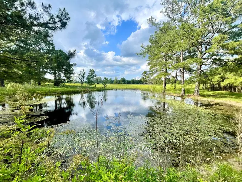 2049 Topisaw Dr Se, Bogue Chitto, MS 39629