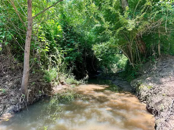 Brookhaven, MS 39601,Williams Street