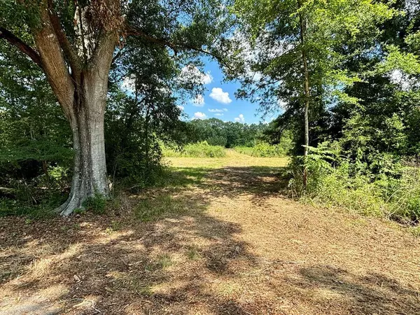 Hwy 1058/ Bryce Hyde Road, Amite, LA