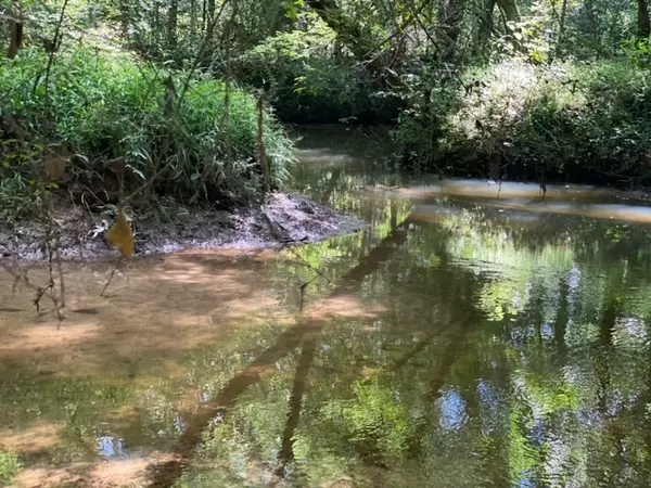 Osyka, MS 39657,Cutrer Road