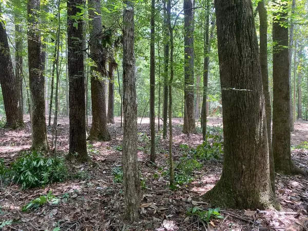 Osyka, MS 39657,Cutrer Road