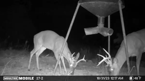 MS 39066,1600 Betigheimer Road