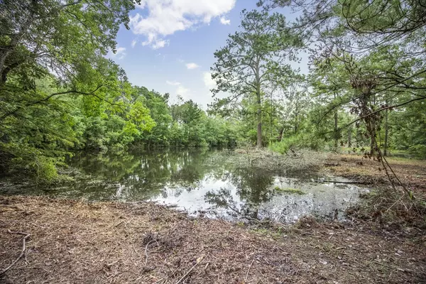 Greenwell Springs, LA 70739,18222 Stoney Point Burch Road