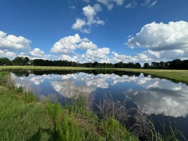 0 Montgomery Road, Bogue Chitto, MS 39629