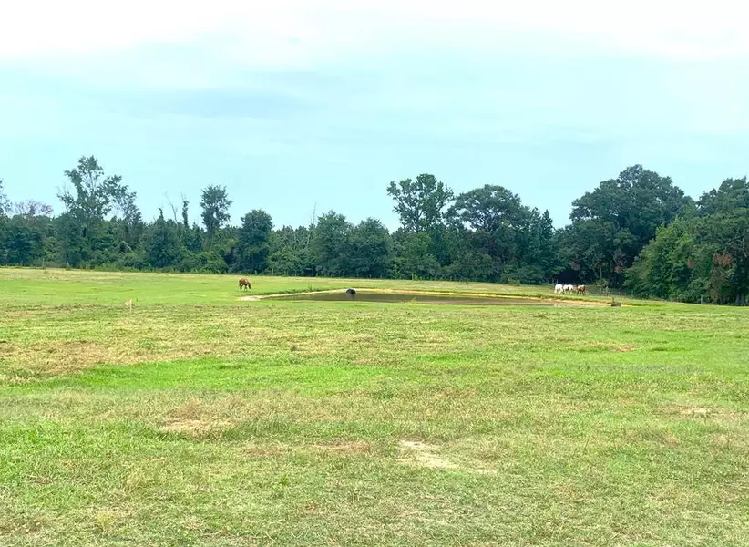 2111 Allen Lane, Magnolia, MS 39652