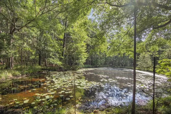 Greensburg, LA 70441,4824 La 448