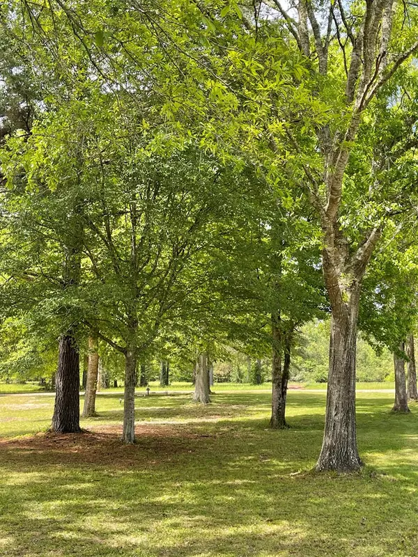 Mccall Creek, MS 39647,226 Bulter Street