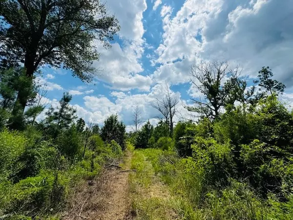 Liberty, MS 39645,Street Road
